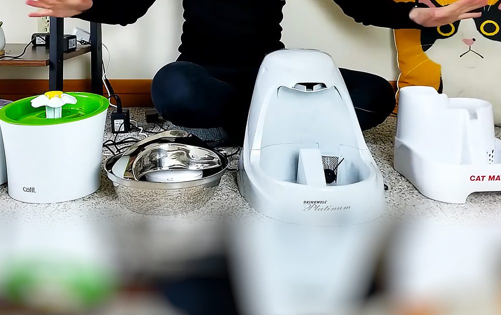 Pinterest Hidden Image