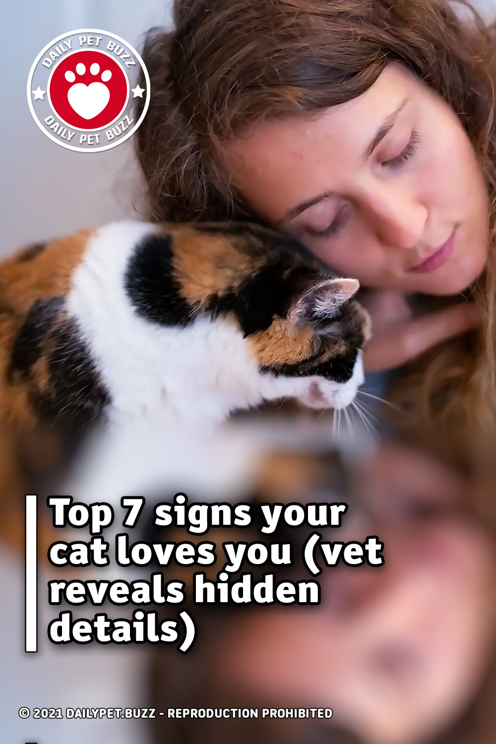 Top 7 signs your cat loves you (vet reveals hidden details)