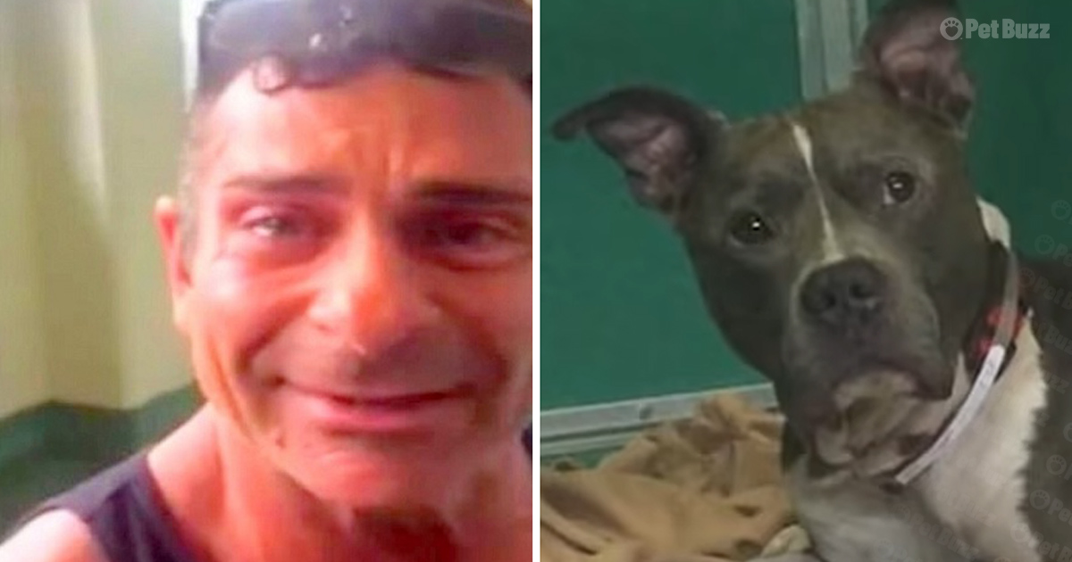 Tearful dog dad finds his stolen dog
