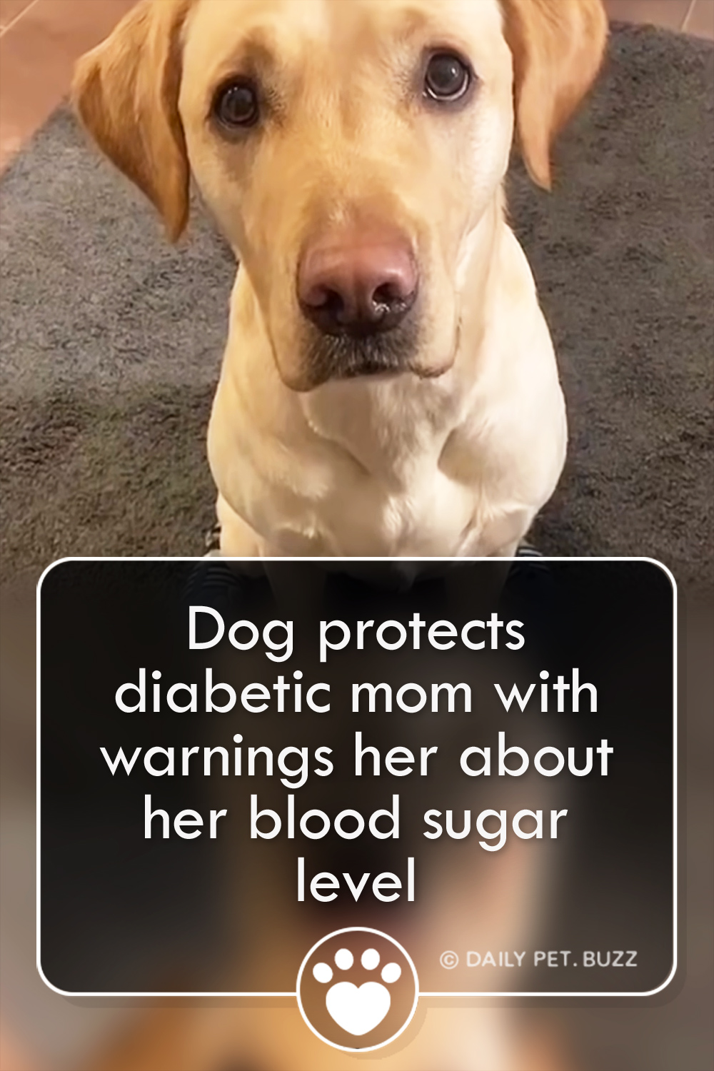 Dog protects diabetic mom with warnings her about her blood sugar level