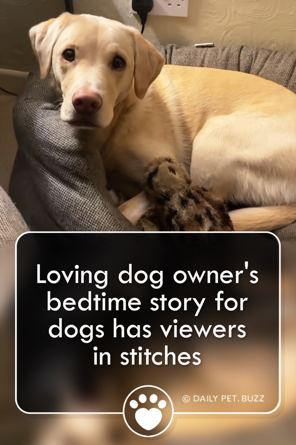 Loving dog owner\'s bedtime story for dogs has viewers in stitches