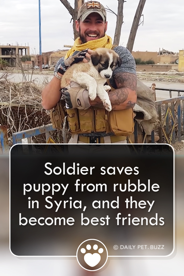 Soldier saves puppy from rubble in Syria, and they become best friends