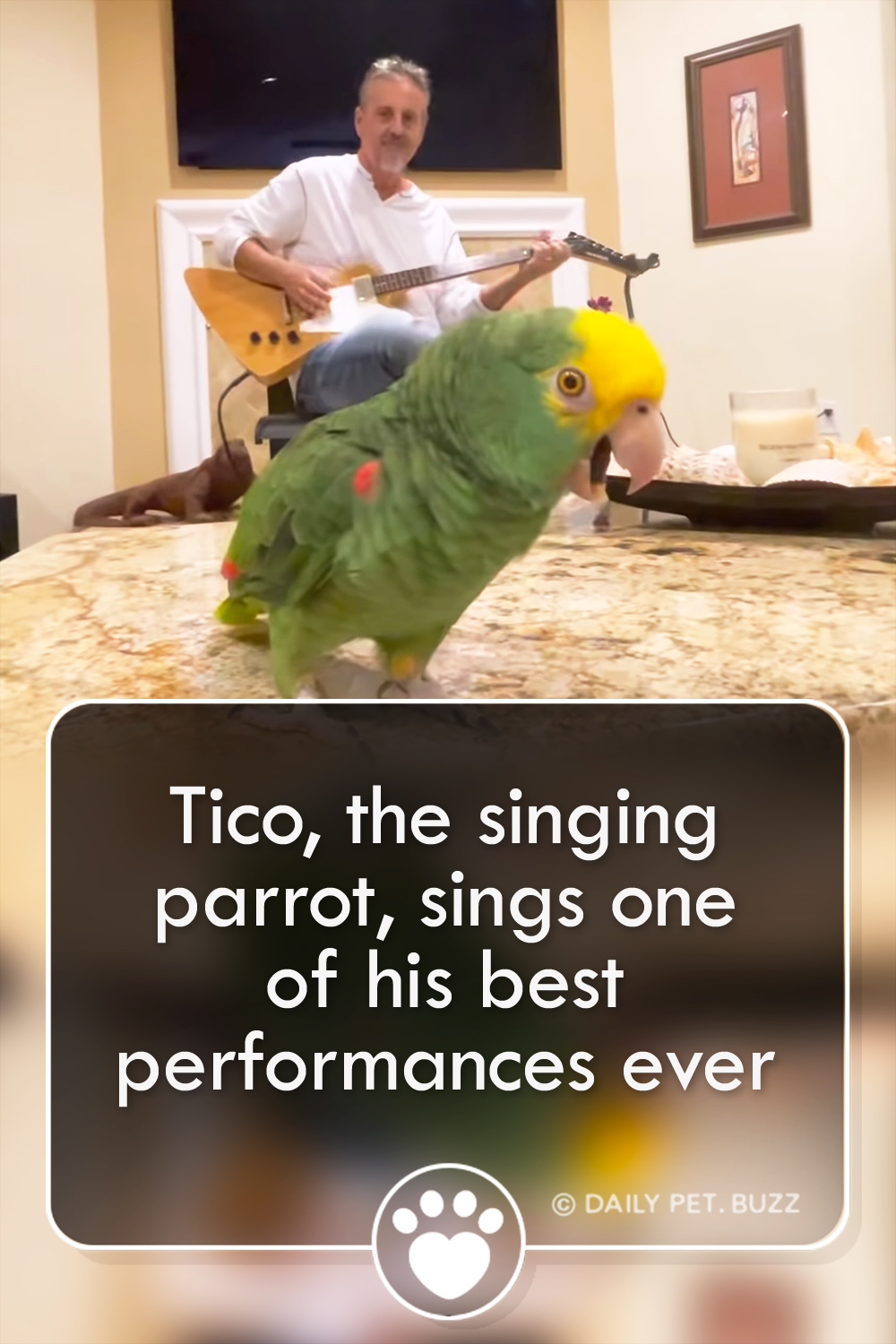 Tico, the singing parrot, sings one of his best performances ever