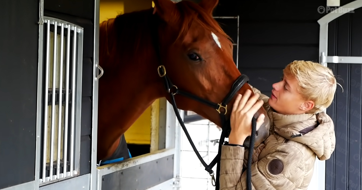 Horse trainer with horse