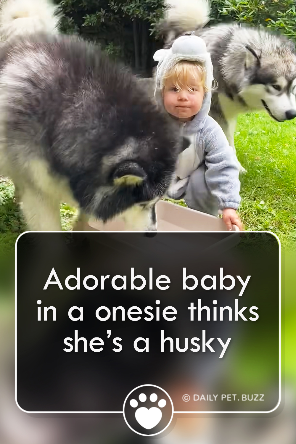 Adorable baby in a onesie thinks she’s a husky