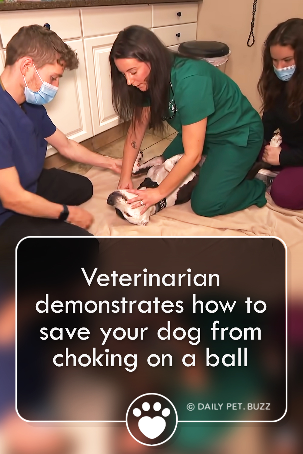 Veterinarian demonstrates how to save your dog from choking on a ball