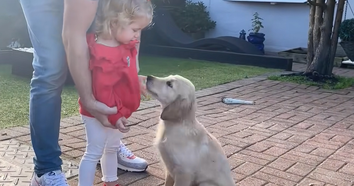 Toddler with dog