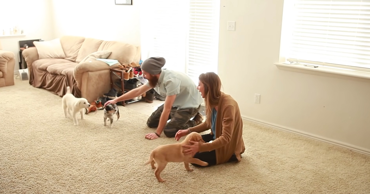 Husband and wife with puppies