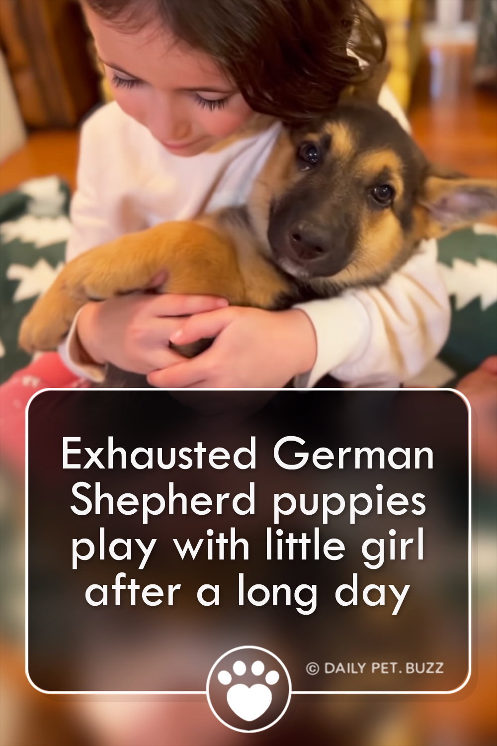Exhausted German Shepherd puppies play with little girl after a long day