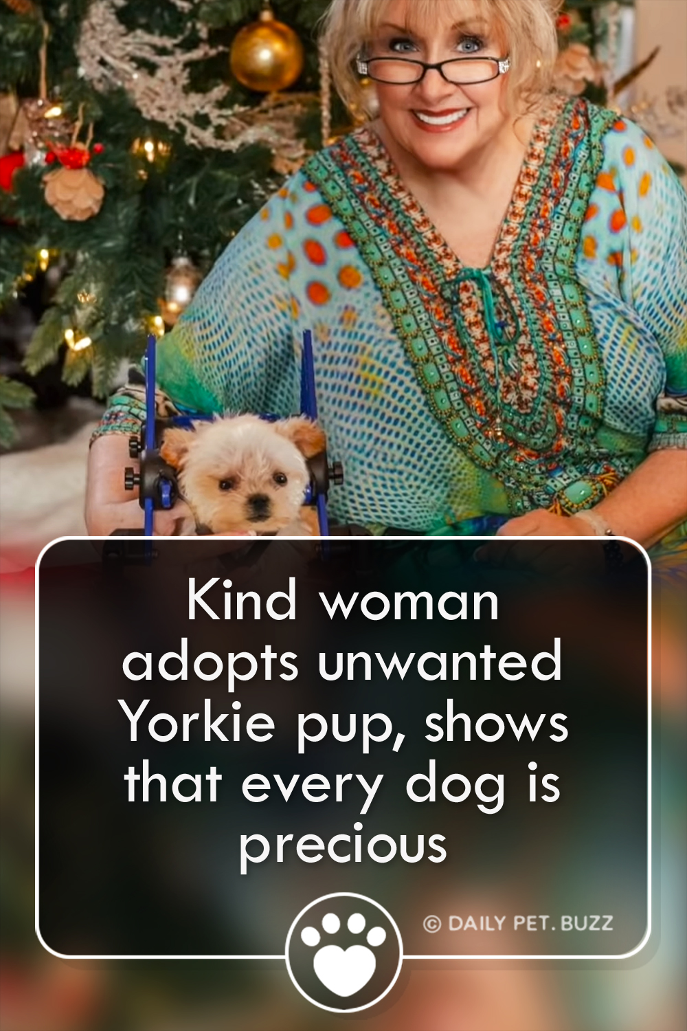 Kind woman adopts unwanted Yorkie pup, shows that every dog is precious