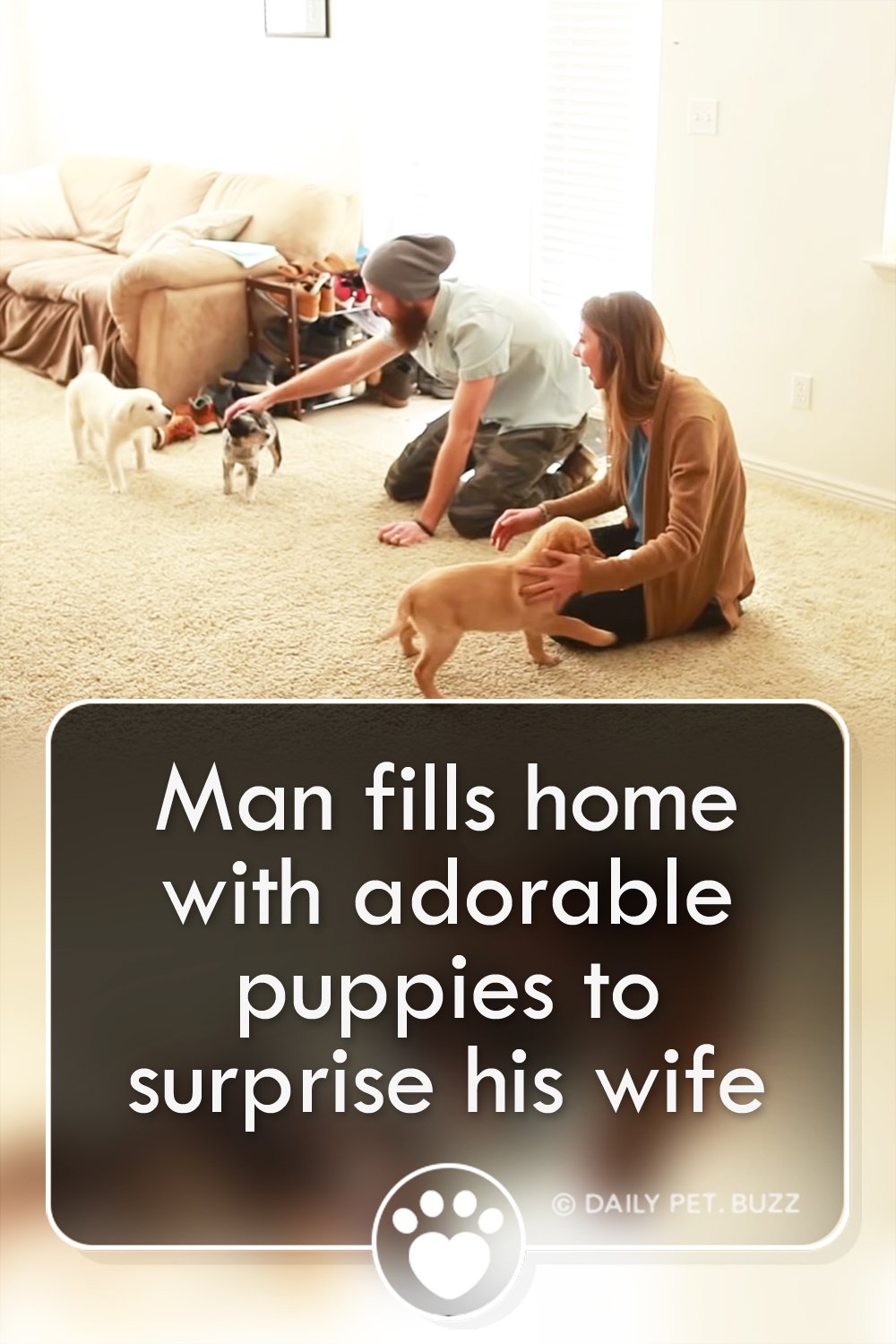 Man fills home with adorable puppies to surprise his wife