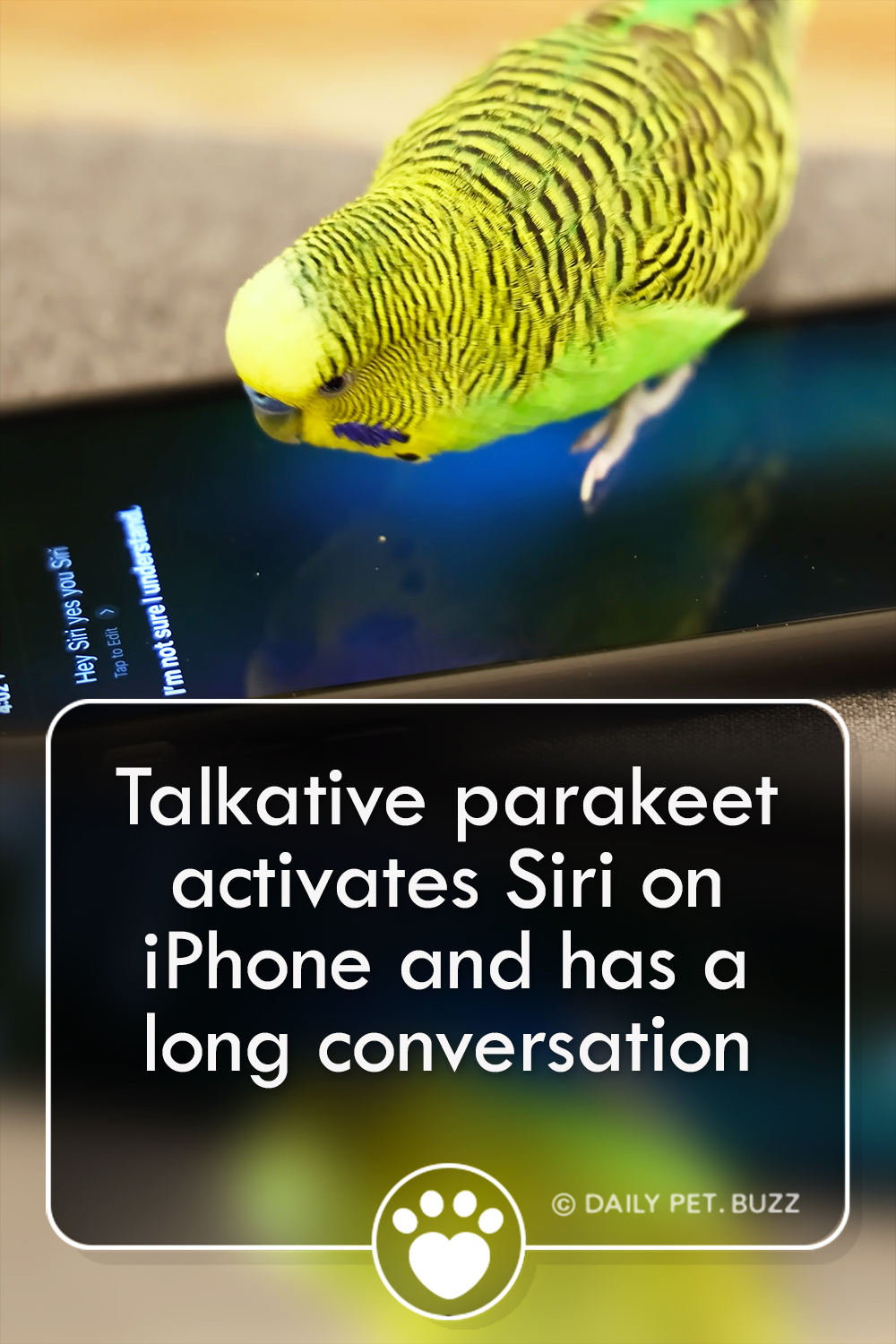 Talkative parakeet activates Siri on iPhone and has a long conversation