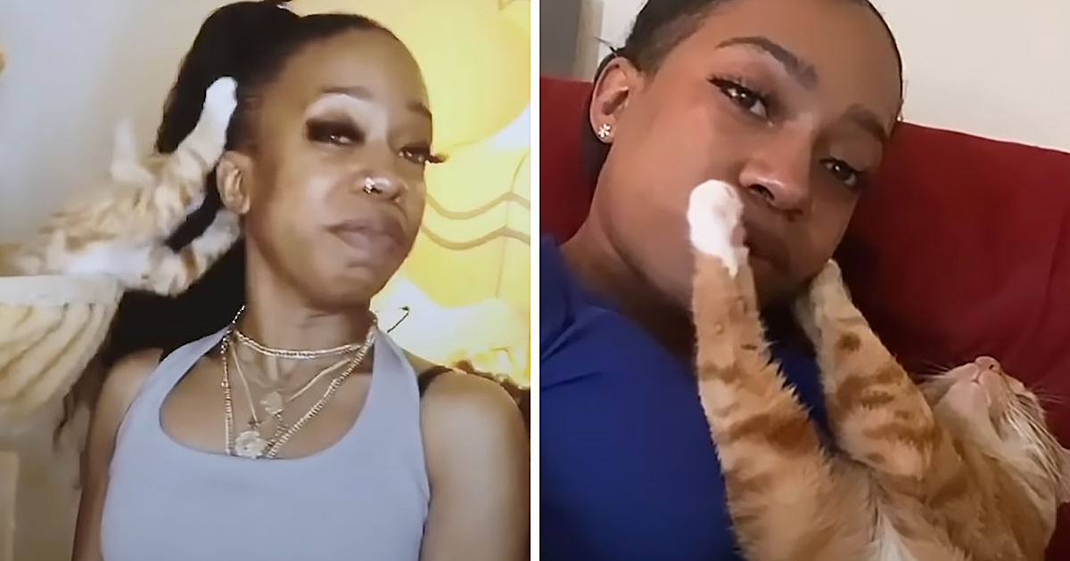 Kitten with his human mom