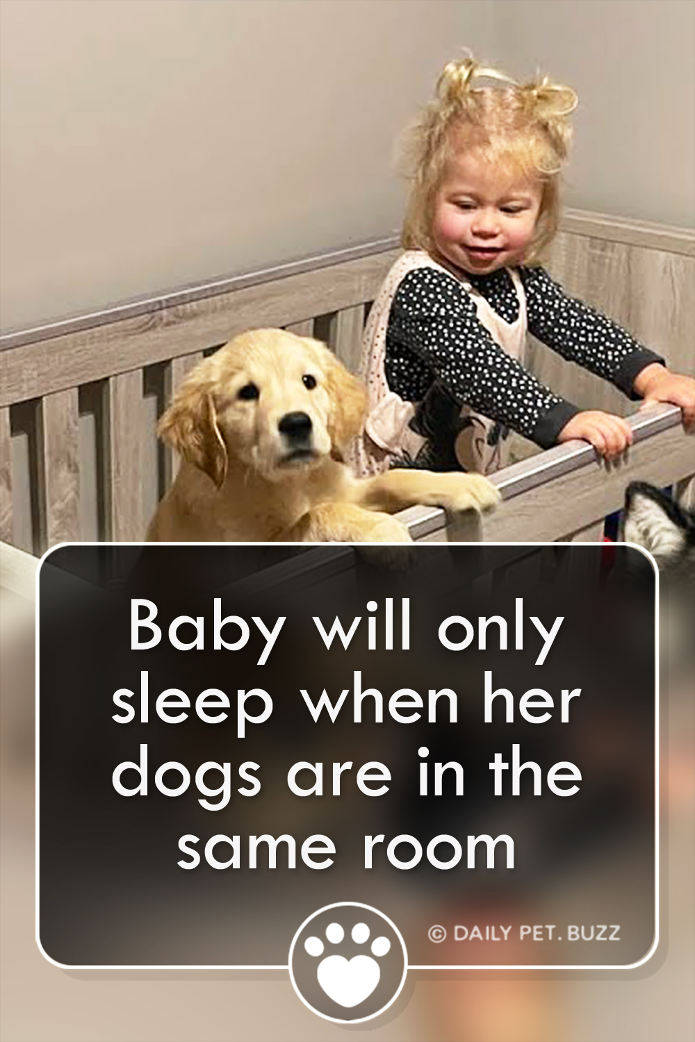 Baby will only sleep when her dogs are in the same room