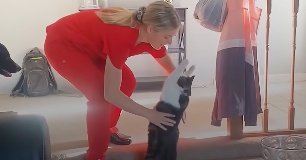 Adorable cat and his human mom
