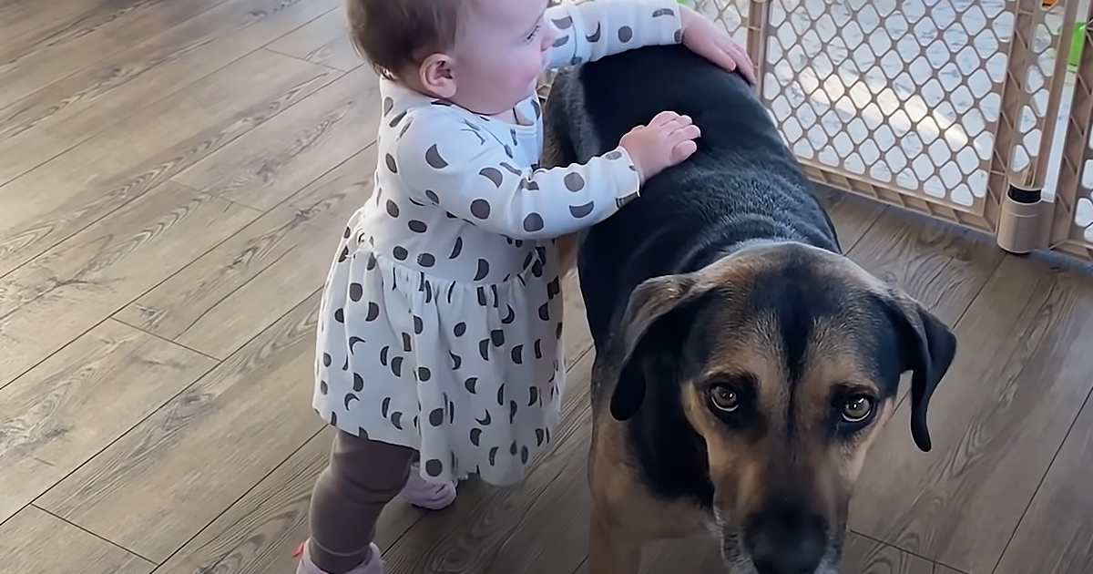 Dog and his baby sister