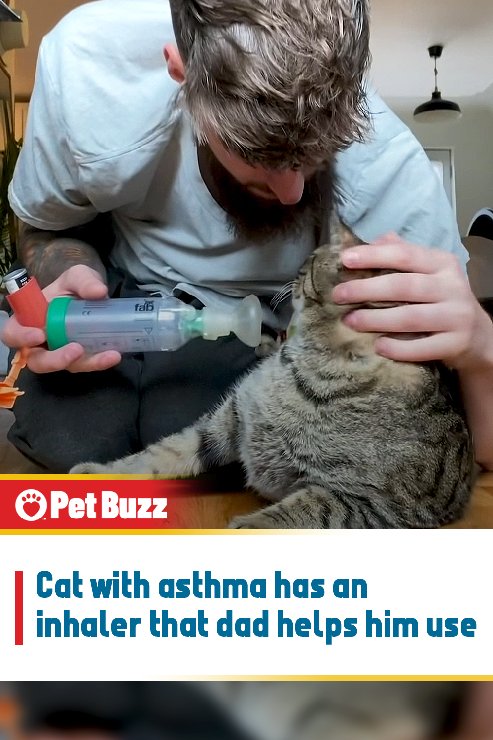 Cat with asthma has an inhaler that dad helps him use