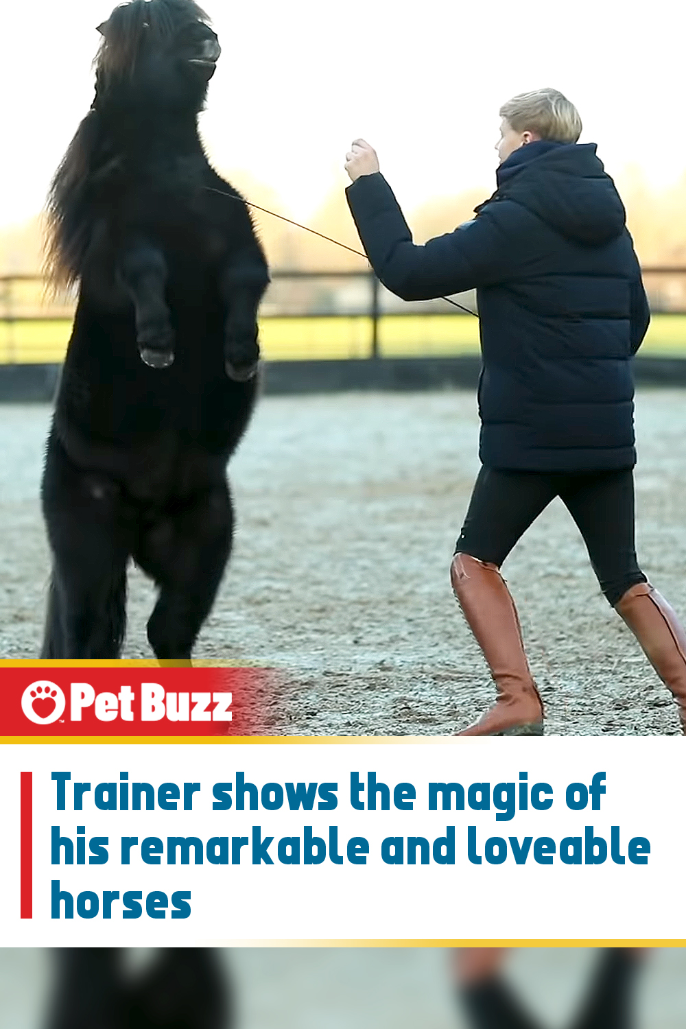 Trainer shows the magic of his remarkable and loveable horses