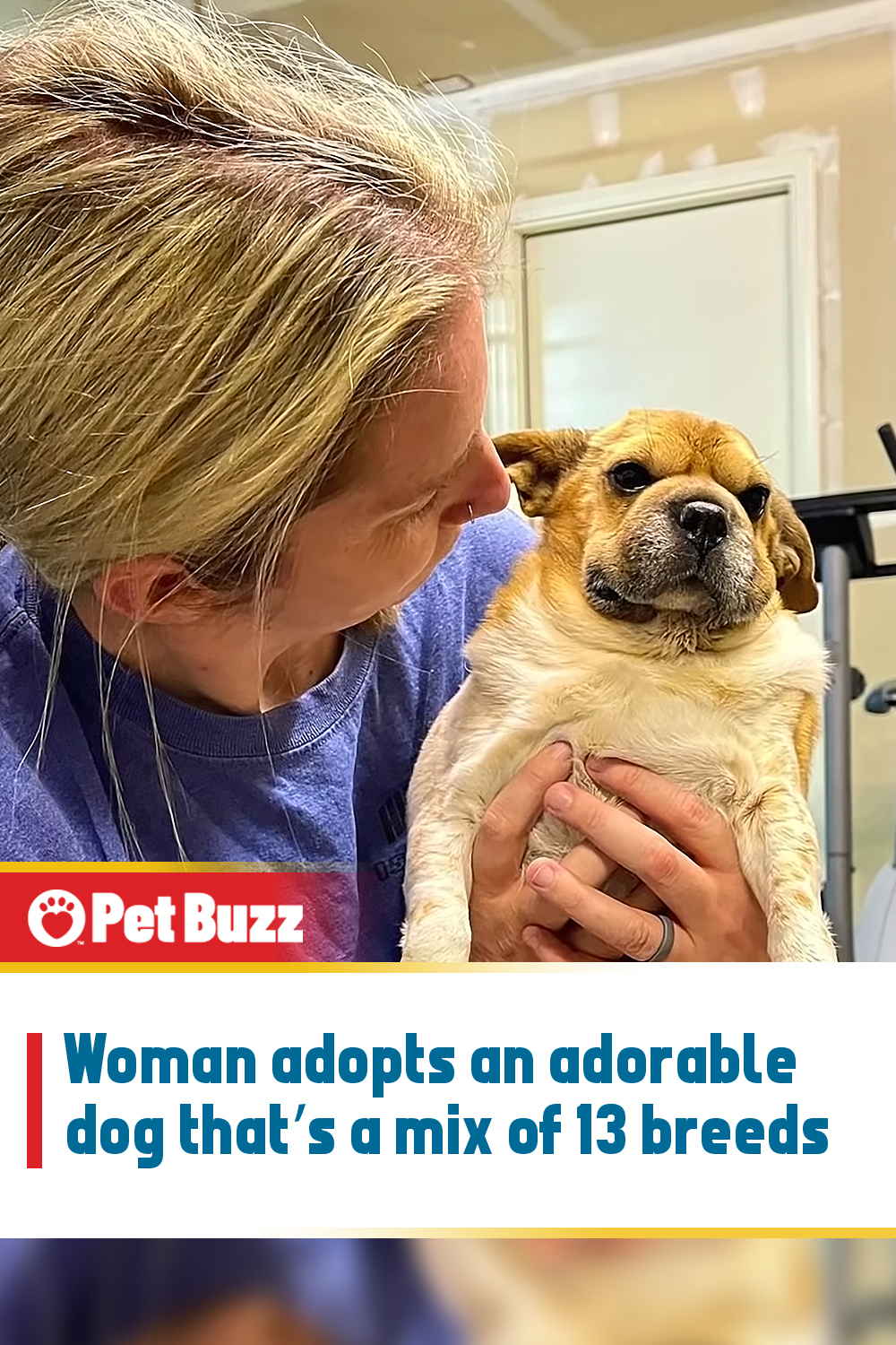 Woman adopts an adorable dog that’s a mix of 13 breeds
