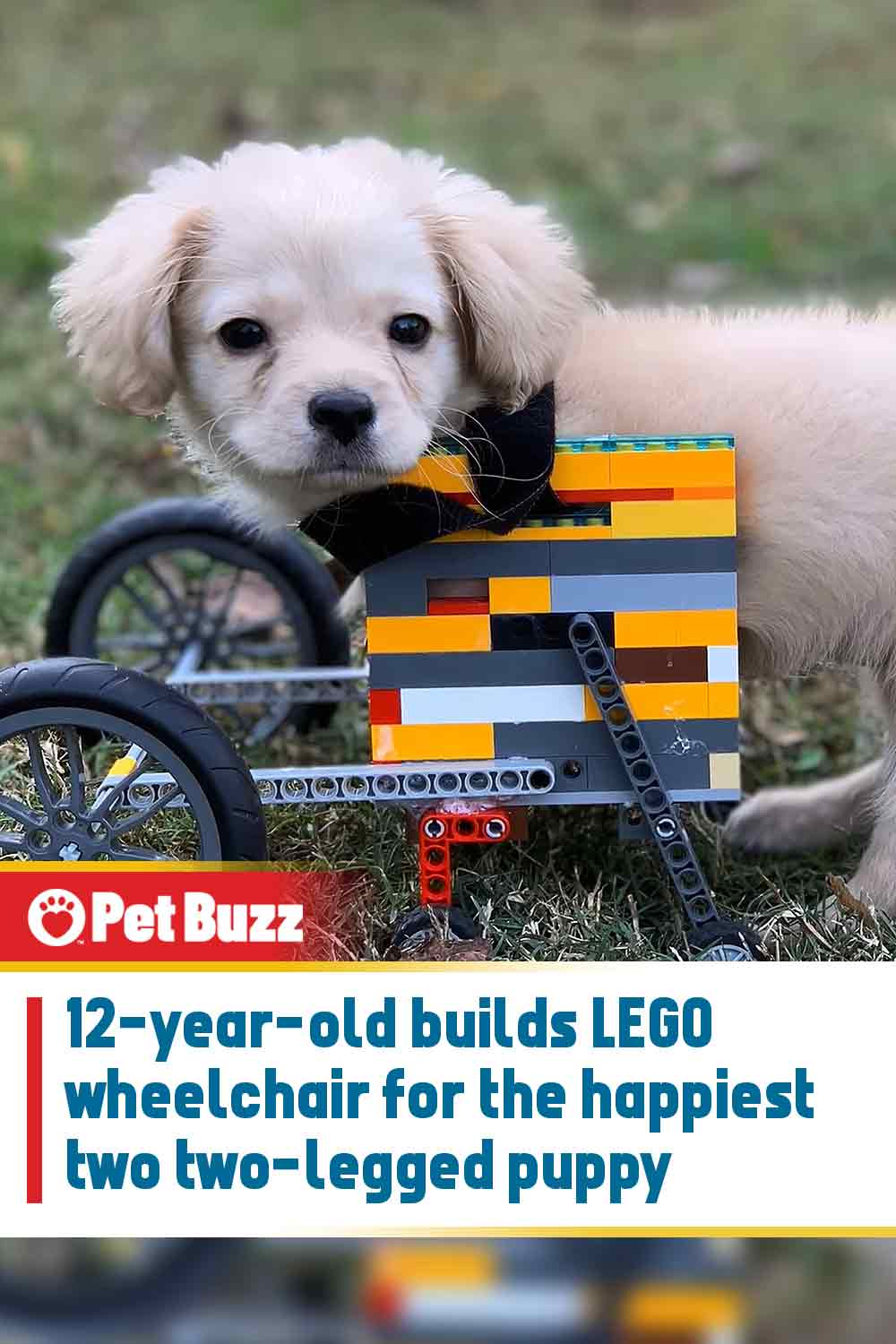 12-year-old builds LEGO wheelchair for the happiest two-legged puppy