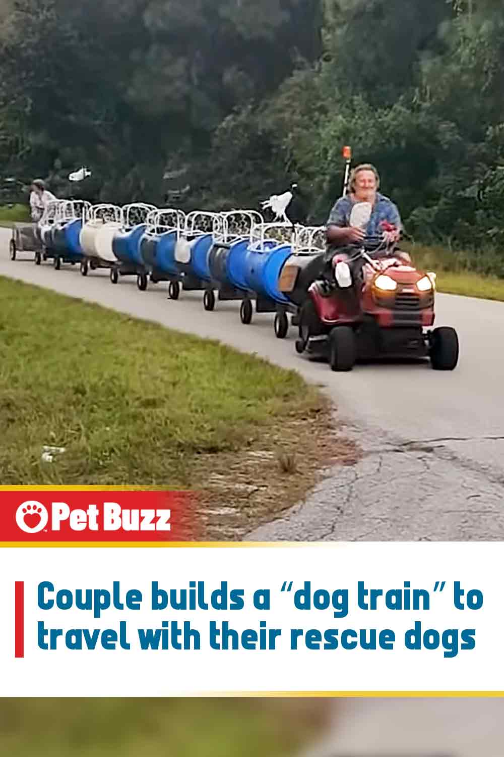 Couple builds a “dog train” to travel with their rescue dogs