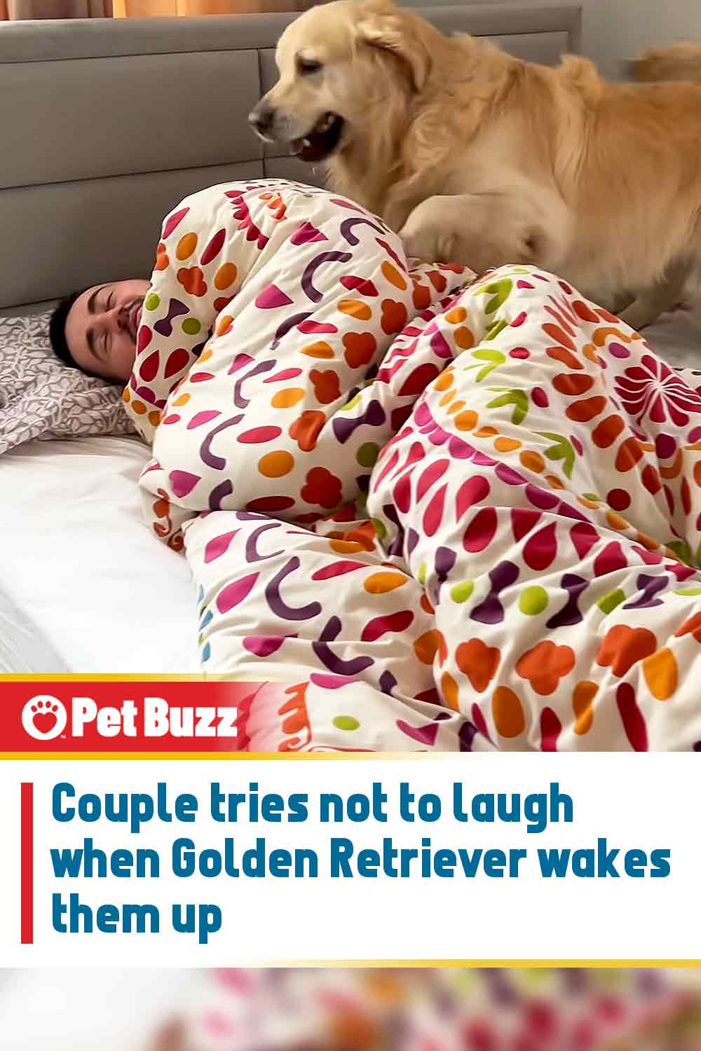 Couple tries not to laugh when Golden Retriever wakes them up
