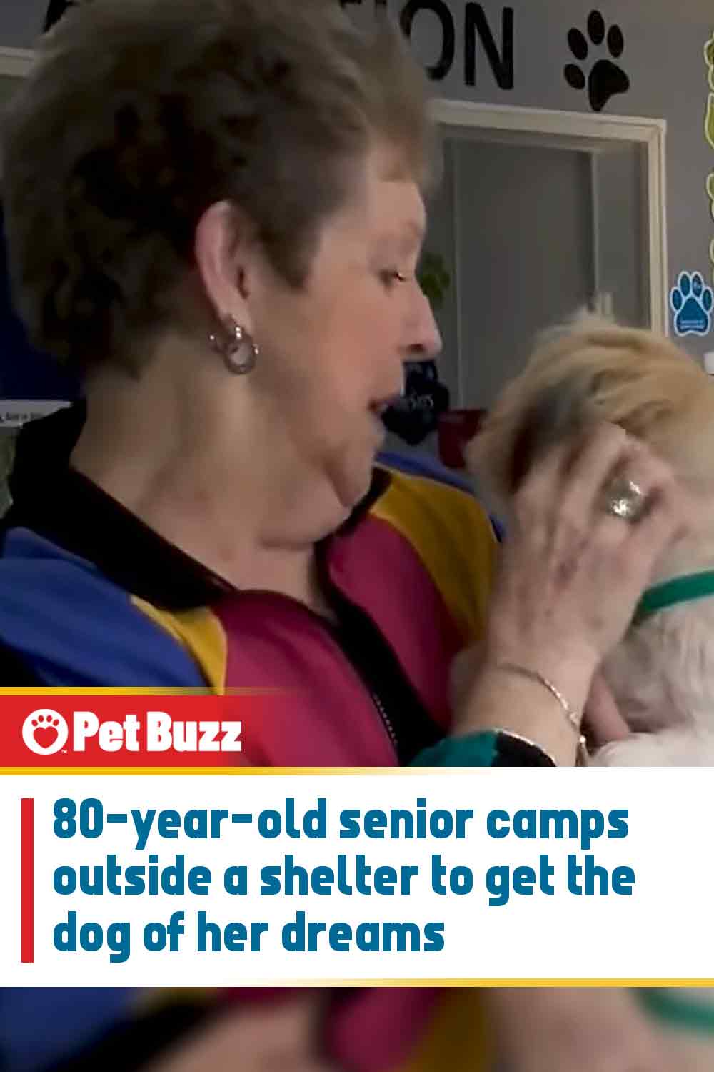 80-year-old senior camps outside a shelter to get the dog of her dreams