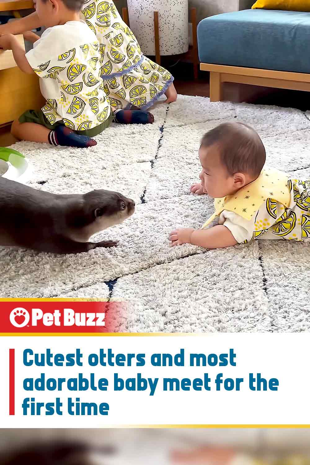 Cutest otters and most adorable baby meet for the first time