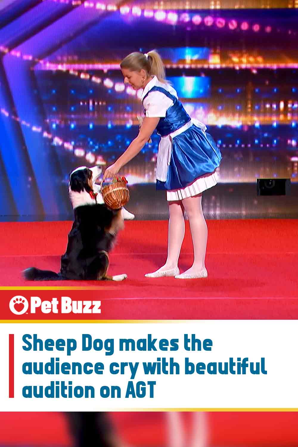 Sheep Dog makes the audience cry with beautiful audition on AGT