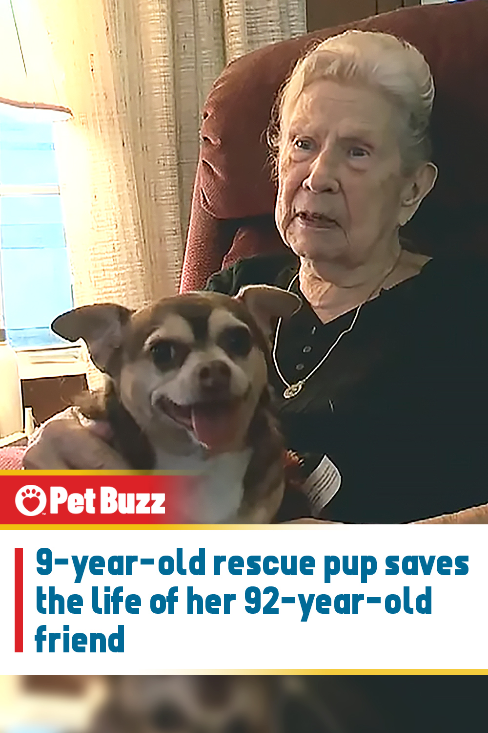 9-year-old rescue pup saves the life of her 92-year-old friend