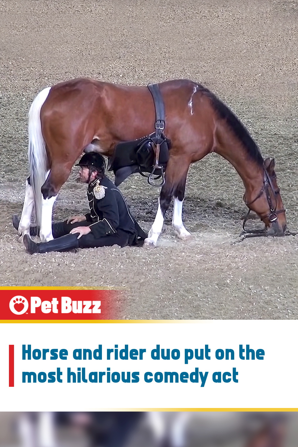 Horse and rider duo put on the most hilarious comedy act