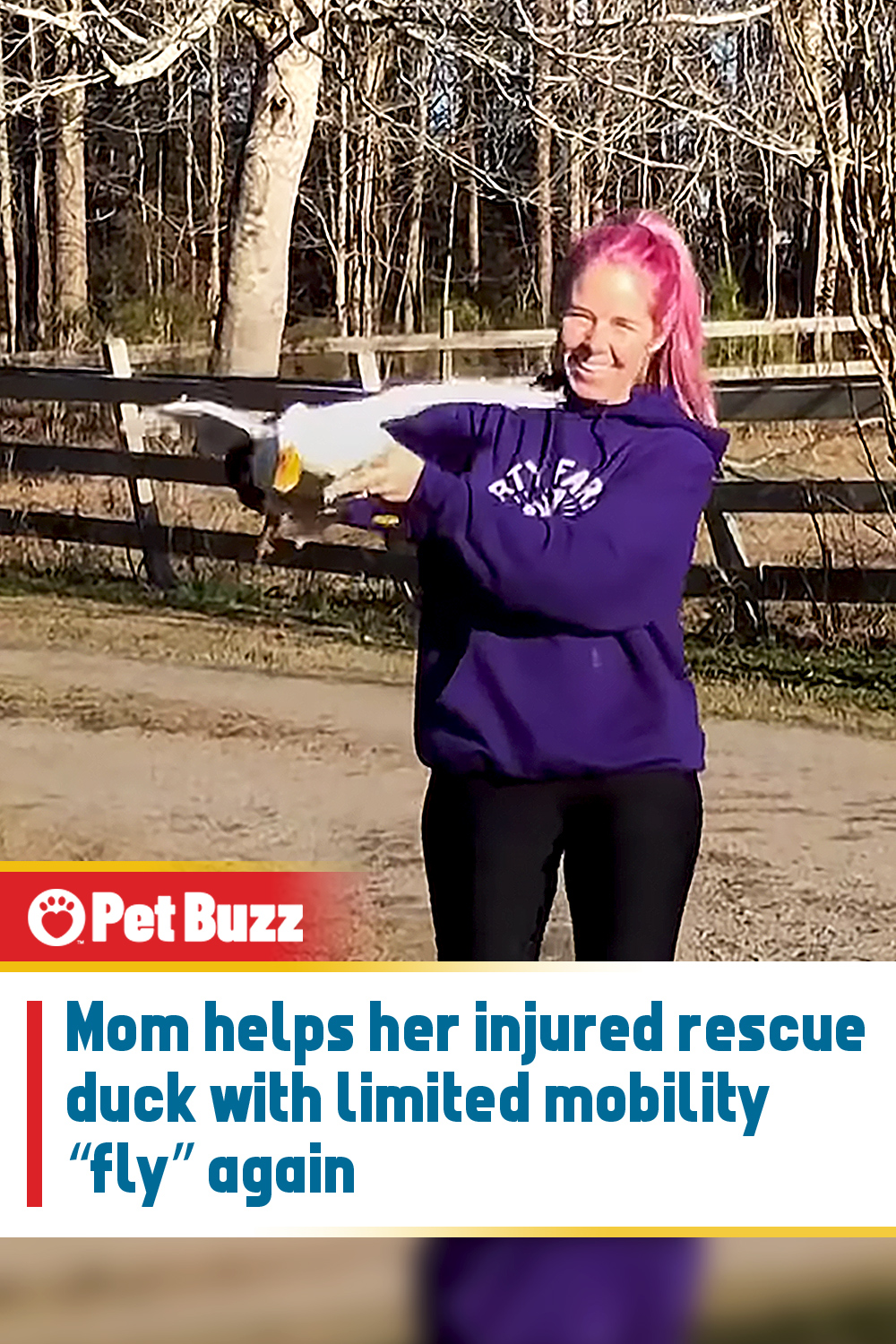 Mom helps her injured rescue duck with limited mobility “fly” again