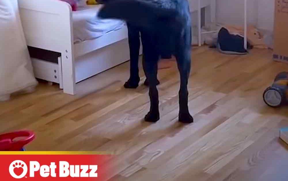 Pinterest Hidden Image