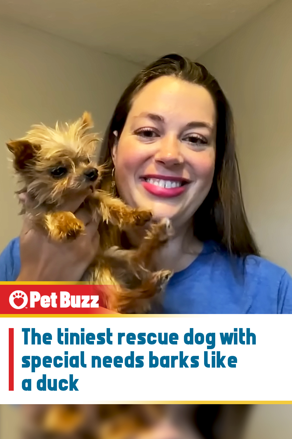 The tiniest rescue dog with special needs barks like a duck