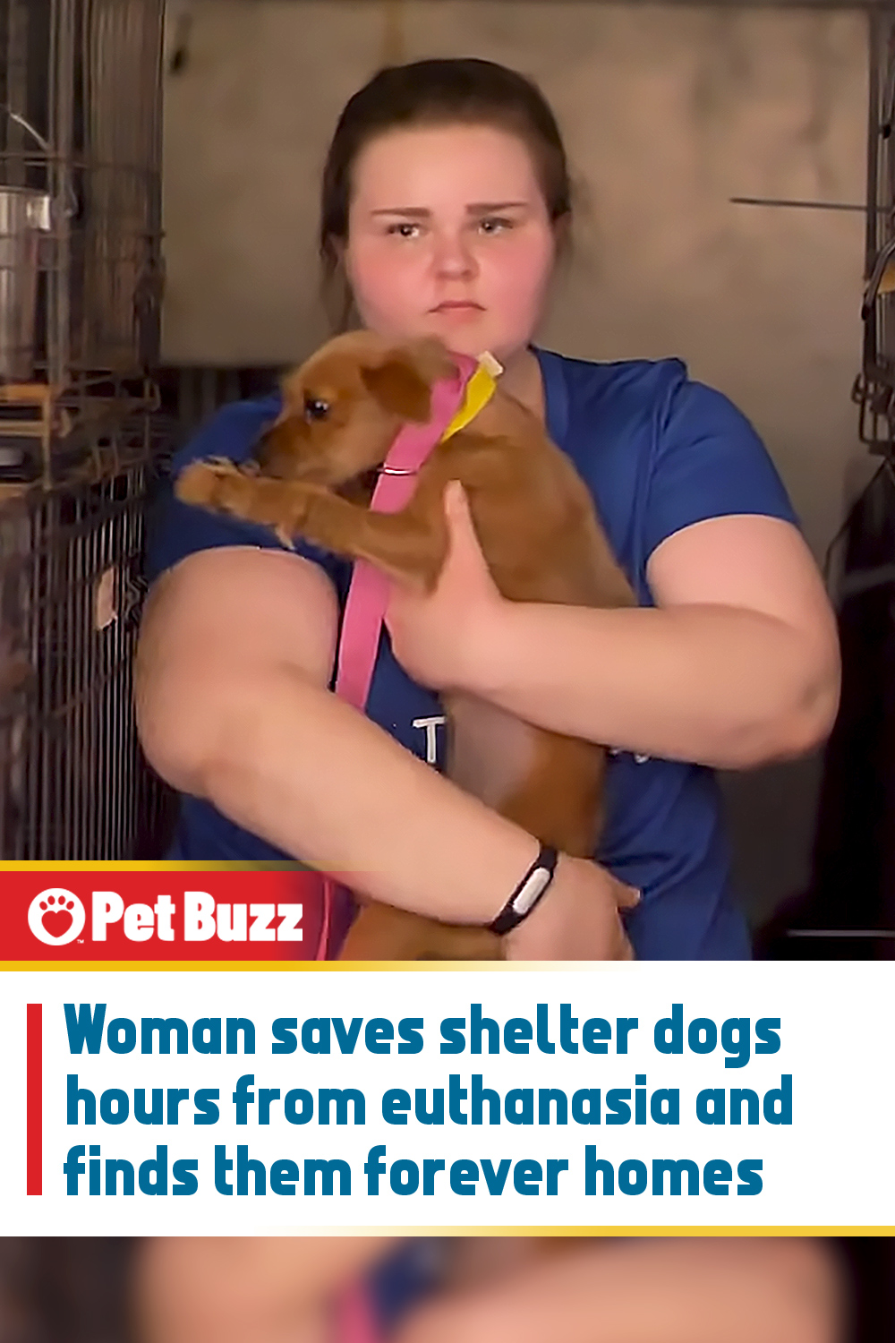 Woman saves shelter dogs hours from euthanasia and finds them forever homes