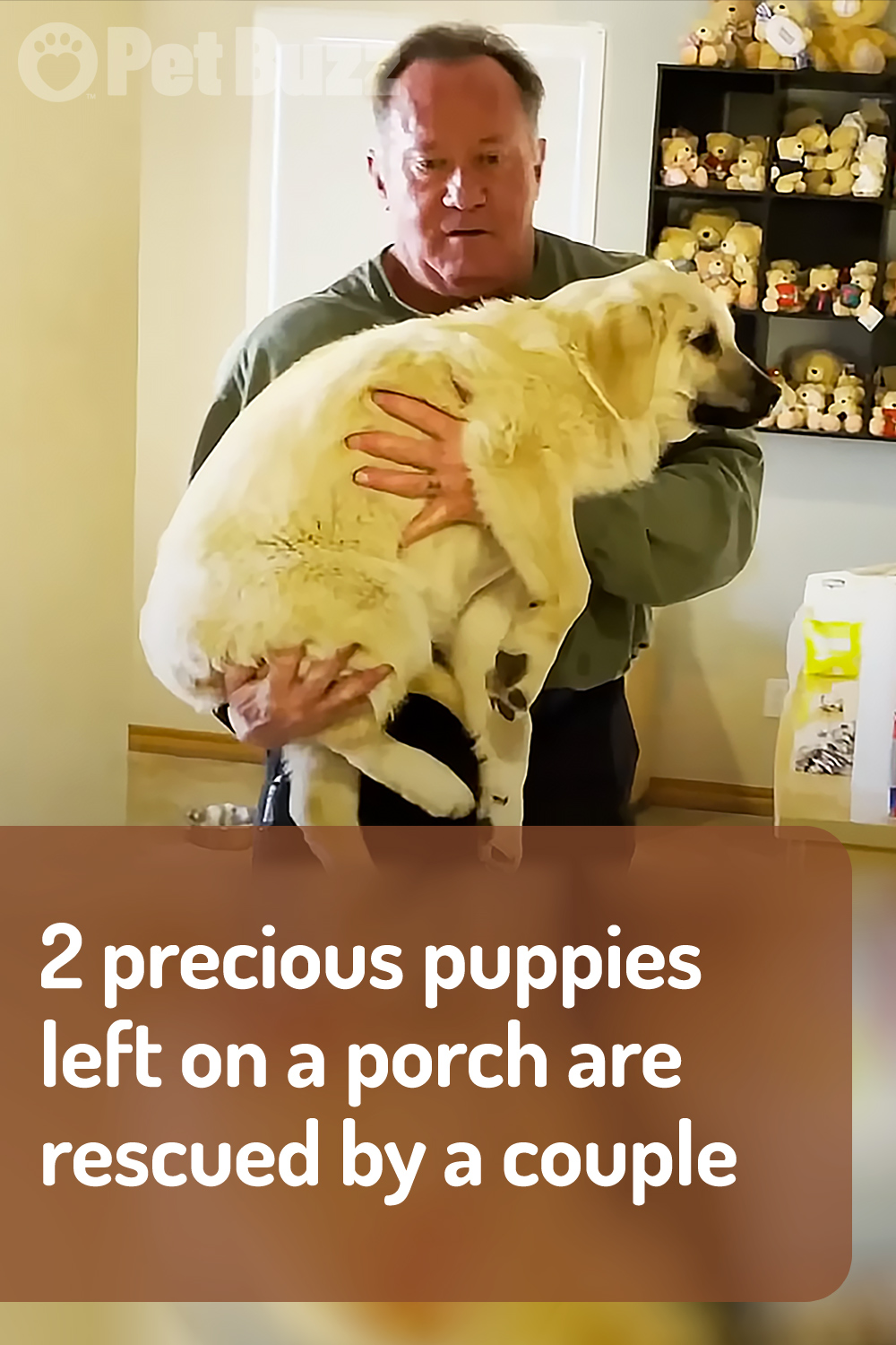 2 precious puppies left on a porch are rescued by a couple