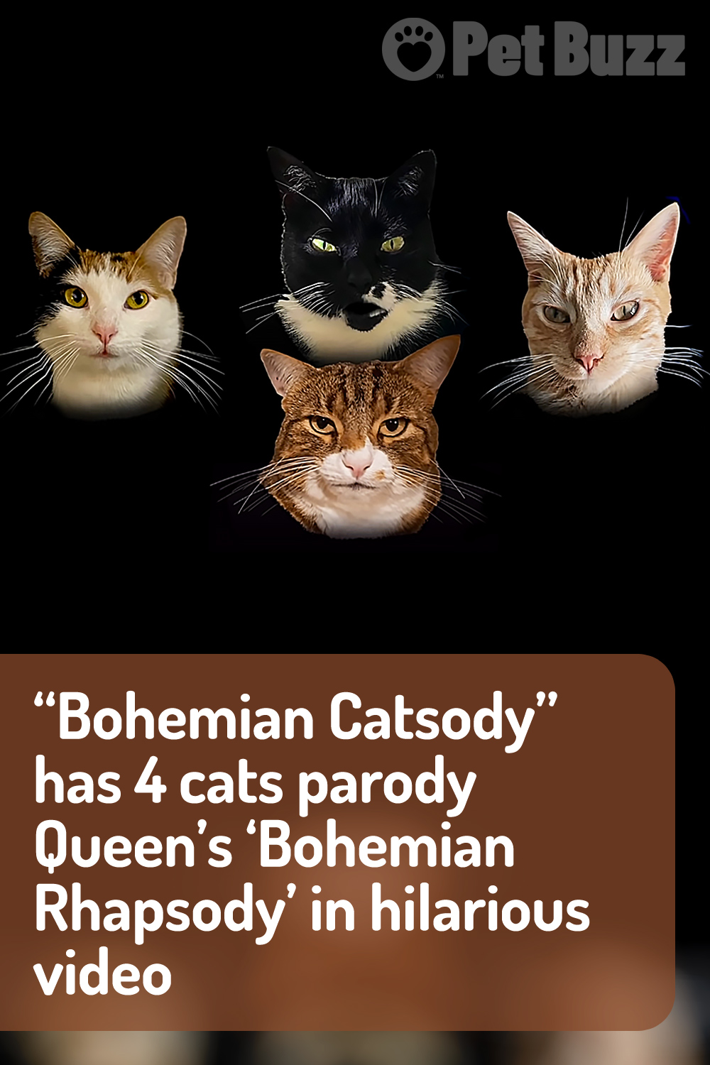 “Bohemian Catsody” has 4 cats parody Queen’s ‘Bohemian Rhapsody’ in hilarious video
