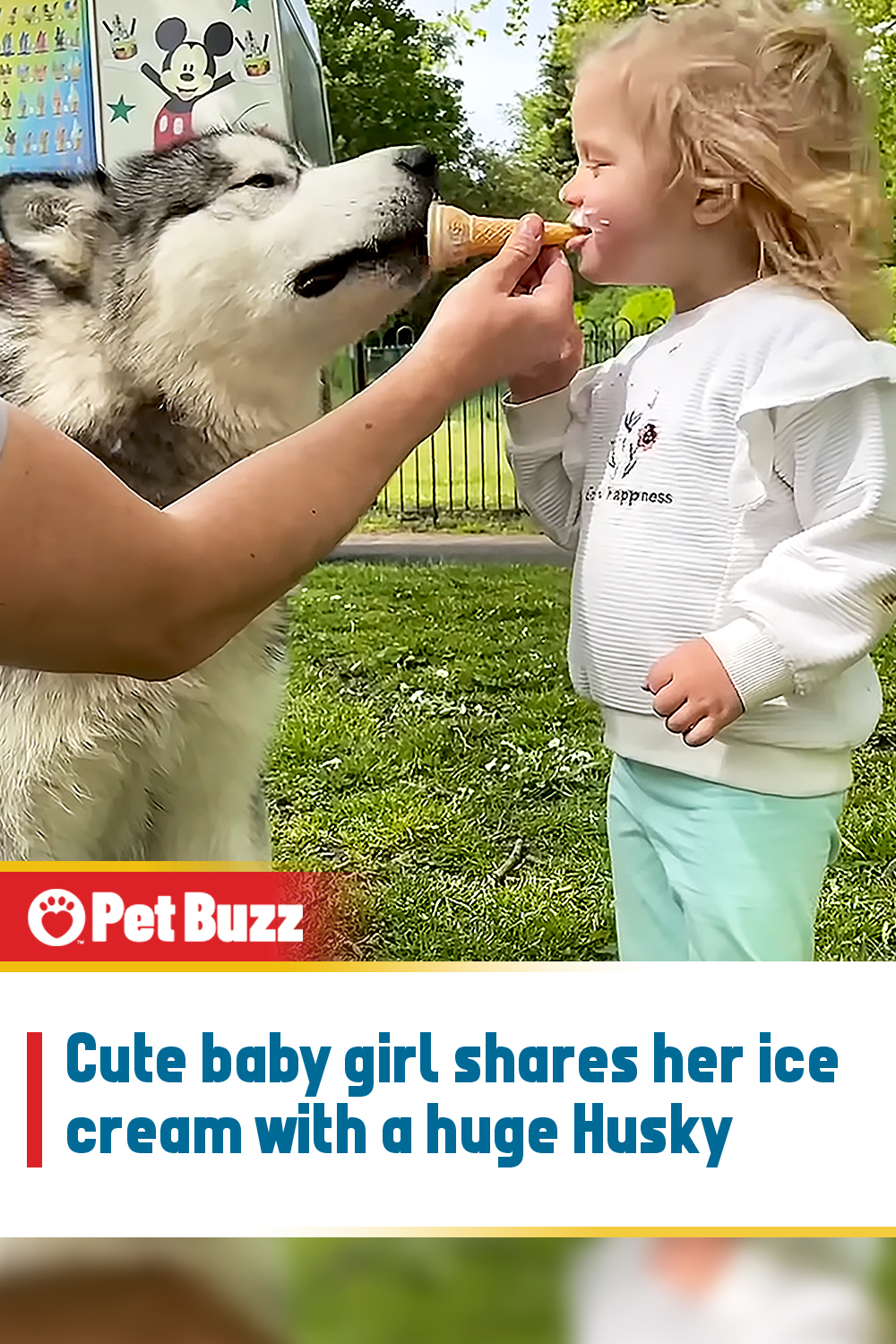 Cute baby girl shares her ice cream with a huge Husky