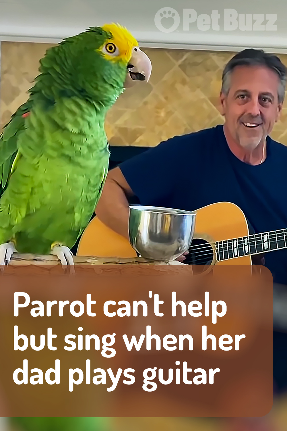 Parrot can’t help but sing when her dad plays guitar