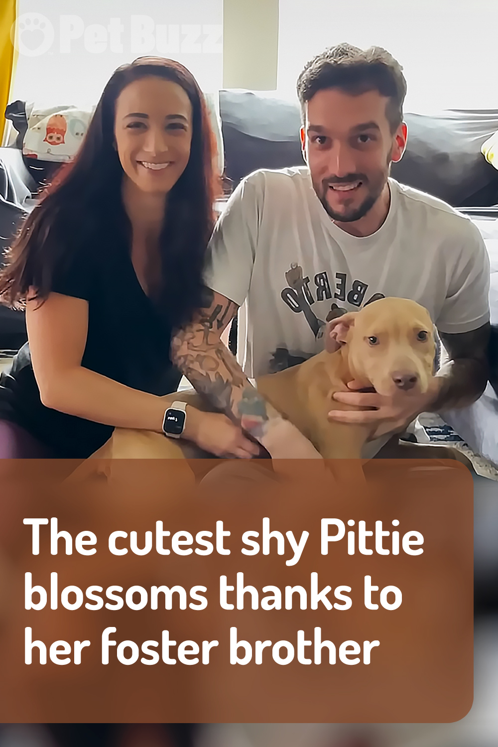 The cutest shy Pittie blossoms thanks to her foster brother