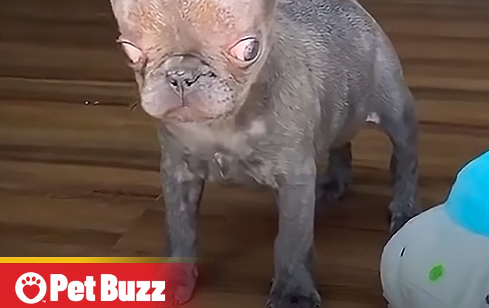 Pinterest Hidden Image