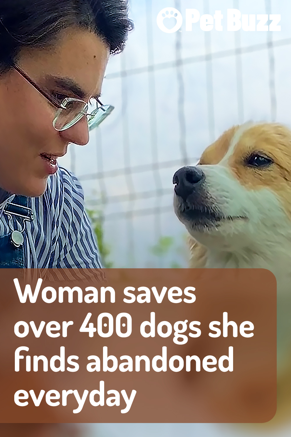 Woman saves over 400 dogs she finds abandoned everyday