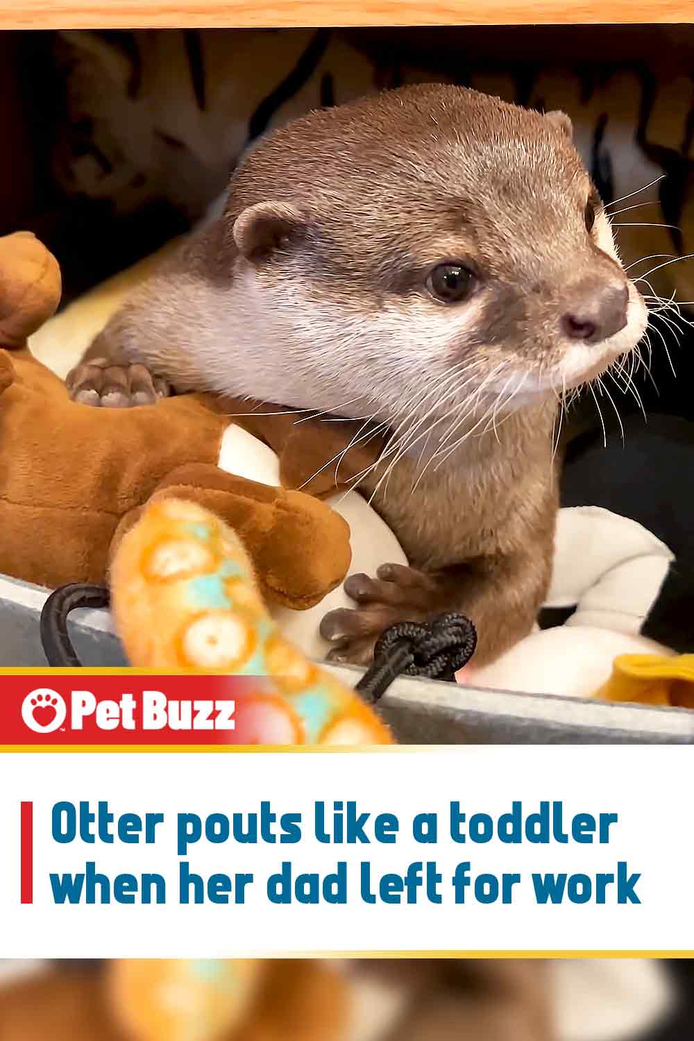 Otter pouts like a toddler when her dad left for work