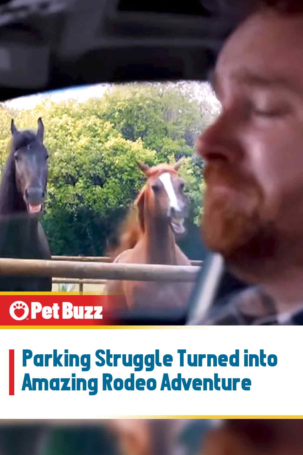 Parking Struggle Turned into Amazing Rodeo Adventure