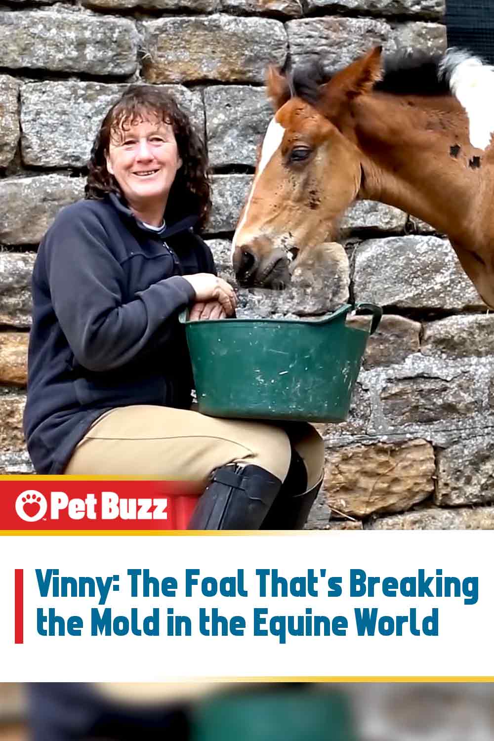 Vinny: The Foal That\'s Breaking the Mold in the Equine World