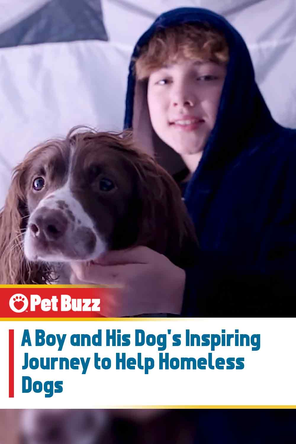 A Boy and His Dog\'s Inspiring Journey to Help Homeless Dogs
