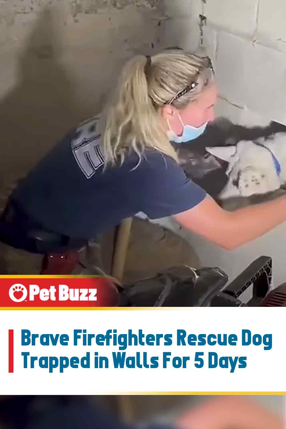 Brave Firefighters Rescue Dog Trapped in Walls For 5 Days