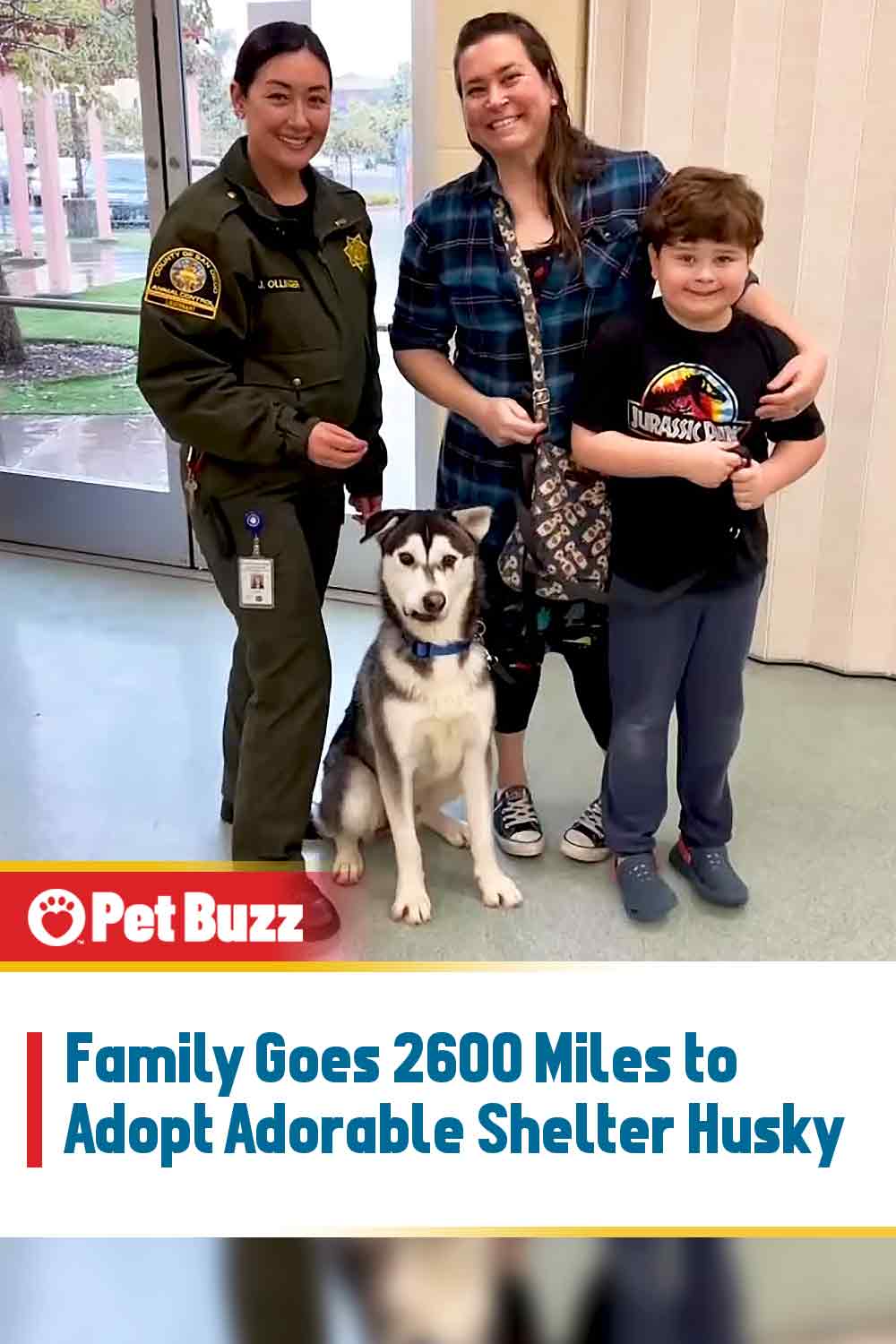 Family Goes 2600 Miles to Adopt Adorable Shelter Husky