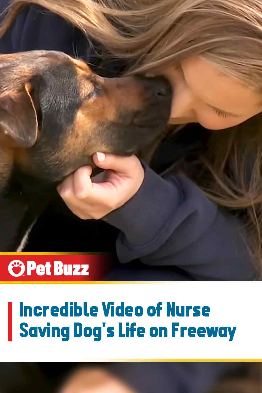 Incredible Video of Nurse Saving Dog\'s Life on Freeway