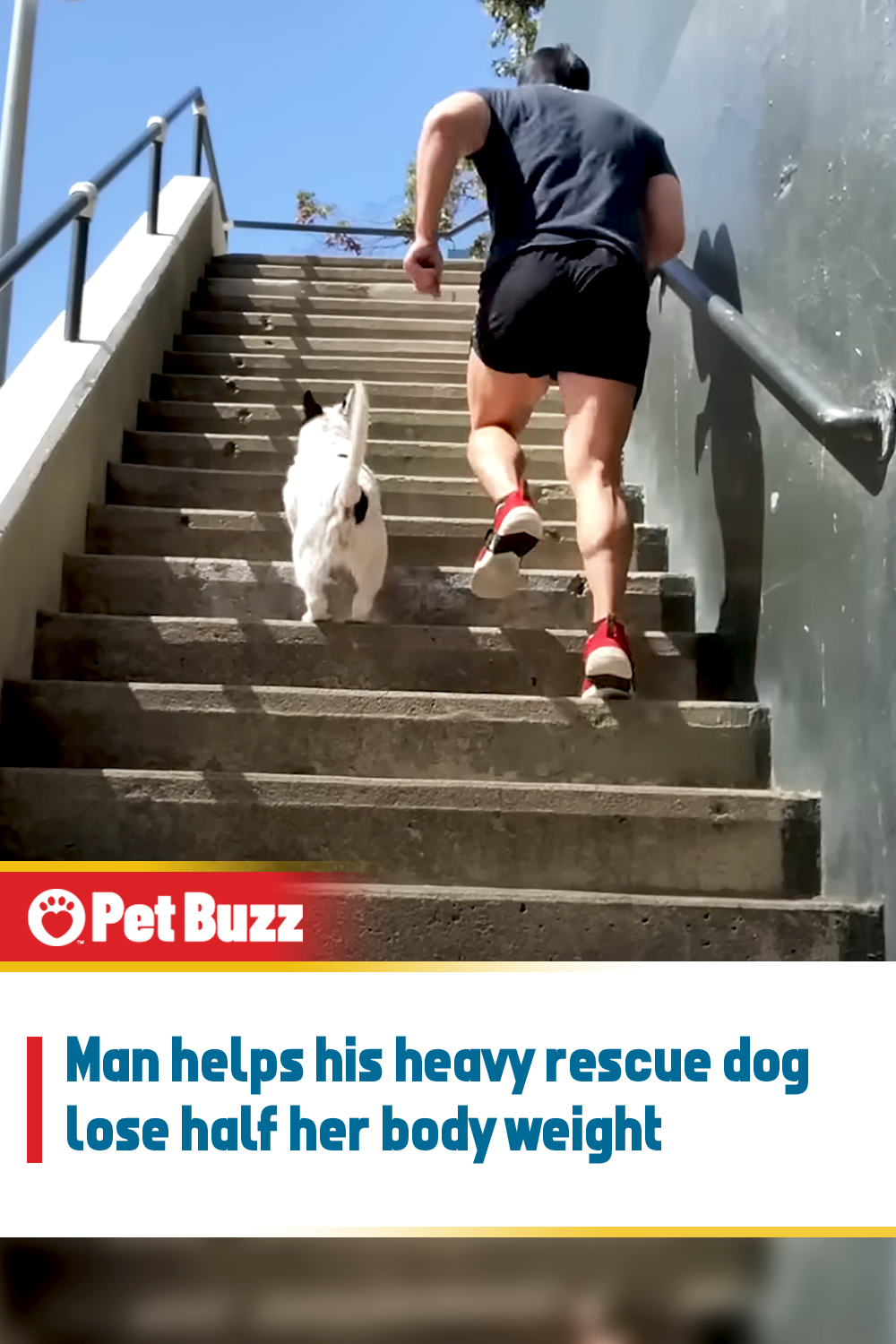 Man helps his heavy rescue dog lose half her body weight